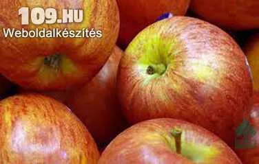 Fahéj alma (Nyári csíkos fűszeres)
